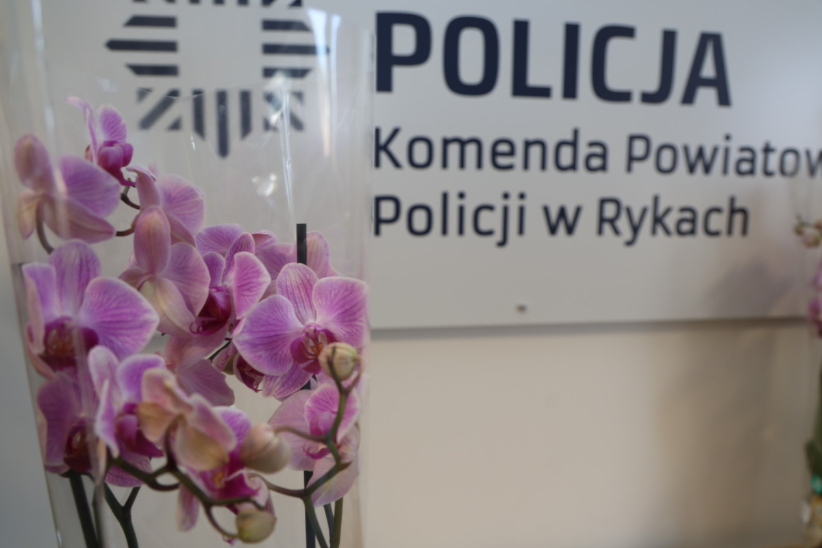 Kwiaty storczy w tle tablica z nazwa Komenda Powiatowa Policji w Rykach