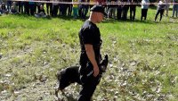 policjant w mundurze ćwiczebnym z psem służbowym