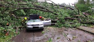 Zdjęcie przedstawia uszkodzony w wyniku zdarzenia drogowego samochód na który spadło powalone w trakcie burzy drzewo. Samochód jest koloru srebrnego. w tle widoczne powalone na drogę asfaltową drzewo.