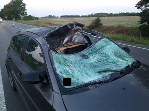 Zdjęcie przedstawia uszkodzony samochód maiki BMW koloru ciemnego z uszkodzeniami powstałymi w wyniku zderzenia z łosiem.