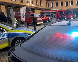 Stoisko Komendy Powiatowej Policji w Rykach na finale w WOSP w Rykach na placu OSP przy kinie Renesans. Widoczne pojazdy służbowe radiowozy oznakowane i nieoznakowane, osoby odwiedzające i sprzęt policyjny.