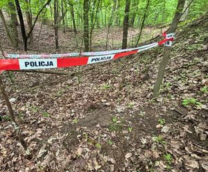 Znalezione niewybuchy  w lesie leżące w ziemi zabezpieczone za pomocą taśmy biało czerwonej z napisem policja w tle funkcjonariusz umundurowany