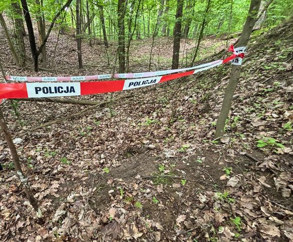 Znalezione niewybuchy  w lesie leżące w ziemi zabezpieczone za pomocą taśmy biało czerwonej z napisem policja w tle funkcjonariusz umundurowany