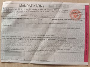 wypełniony formularz mandatu karego w wysokości 3000 złotych z zanonimizowanymi danymi wrażliwymi