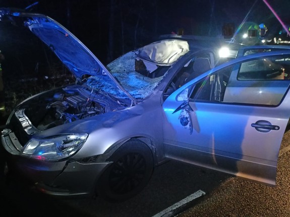 Uszkodzony samochód w wyniku zderzenia z dzikim zwierzęciem