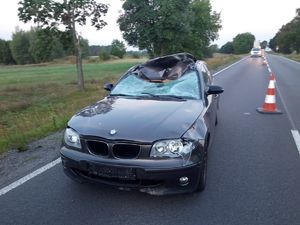Uszkodzony samochód w wyniku zderzenia z dzikim zwierzęciem