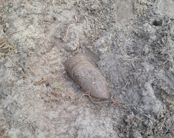 Znalezione skorodowane  pociski artyleryjskie i ich elementy z czasów II wojny światowej leżąca w lesie.