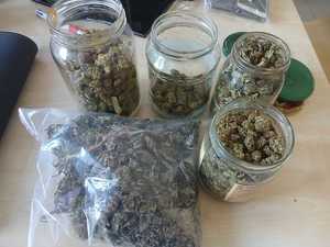 Zdjęcie zabezpieczonego suszu roślinnego koloru zielonego w słoikach szklanych i worku foliowym z zapięciem strunowym