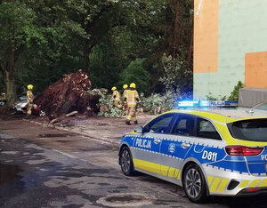 Uszkodzony pojazd przez powalone drzewo