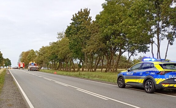 Miejsce zdarzenia drogowego. Pojazdy służb policji i służby drogowej na  jezdni oraz samochody osobowe uszkodzone w zdarzeniu drogowym.