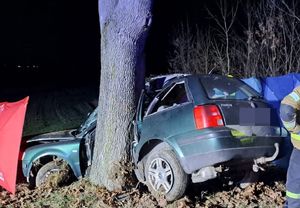 pojazd Volkswagen rozbity o drzewo. Obok czerwony parawan